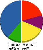 安田水道工業所 貸借対照表 2009年12月期