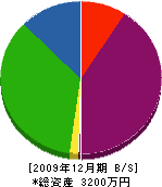 渡辺住建 貸借対照表 2009年12月期