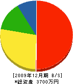 永田組 貸借対照表 2009年12月期