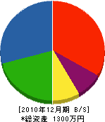 田部工業 貸借対照表 2010年12月期
