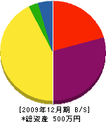 宮脇鉄工所 貸借対照表 2009年12月期