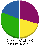 千坂土木 貸借対照表 2009年12月期