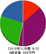 新鯰田緑化 貸借対照表 2010年12月期