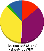 小野内カーテン 貸借対照表 2010年12月期