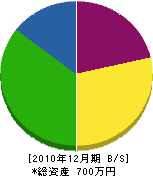 岩崎興業 貸借対照表 2010年12月期