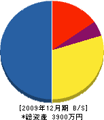 宮脇電気建設 貸借対照表 2009年12月期