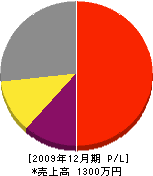 武井塗装店 損益計算書 2009年12月期