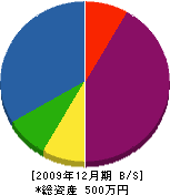 森田電気 貸借対照表 2009年12月期