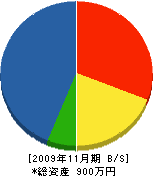 森田塗装店 貸借対照表 2009年11月期