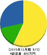 平塚電機 貸借対照表 2010年12月期