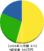 瀬戸浦電気 貸借対照表 2009年12月期