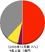 辻工務店 損益計算書 2009年12月期