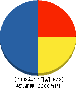 遠藤設備 貸借対照表 2009年12月期