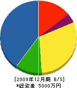 橋本電業 貸借対照表 2009年12月期