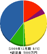 橋本電業 貸借対照表 2009年12月期 橋本電業 貸借対照表 2009年12月期