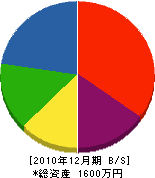琉進工業 貸借対照表 2010年12月期