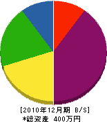 岩﨑塗装 貸借対照表 2010年12月期