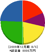 栄土建 貸借対照表 2009年12月期