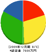 小林電機商会 貸借対照表 2009年12月期