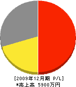 山田電気商会 損益計算書 2009年12月期