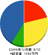 谷井電気商会 貸借対照表 2009年12月期