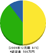 松本電気 貸借対照表 2009年12月期 松本電気 貸借対照表 2009年12月期