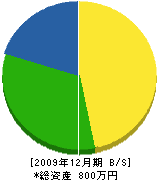 藤川電気 貸借対照表 2009年12月期