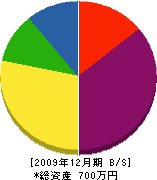 中山電機商会 貸借対照表 2009年12月期