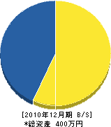 橋本建築 貸借対照表 2010年12月期
