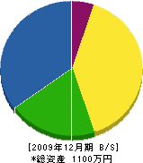 斉藤板金店 貸借対照表 2009年12月期