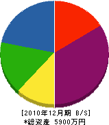岡本電工 貸借対照表 2010年12月期