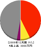 芝﨑組 損益計算書 2009年12月期