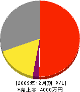 南産業 損益計算書 2009年12月期