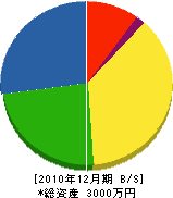 古川建築 貸借対照表 2010年12月期