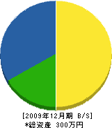 松本造園土木 貸借対照表 2009年12月期