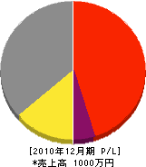 石垣水道 損益計算書 2010年12月期 石垣水道 損益計算書 2010年12月期