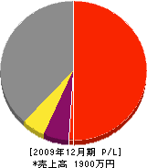 シオジ塗装 損益計算書 2009年12月期