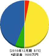 山﨑工業 貸借対照表 2010年12月期