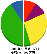 白濱工務店 貸借対照表 2009年12月期