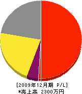 長山電気商会 損益計算書 2009年12月期