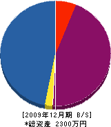 柴田塗装店 貸借対照表 2009年12月期