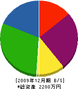 曽我電気商会 貸借対照表 2009年12月期