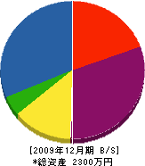 永井土木 貸借対照表 2009年12月期
