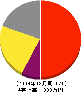 舟田電気商会 損益計算書 2009年12月期