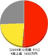 川田塗装工業 損益計算書 2009年12月期