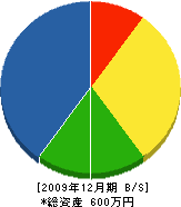 三崎塗装 貸借対照表 2009年12月期