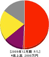 山田畳店 損益計算書 2009年12月期