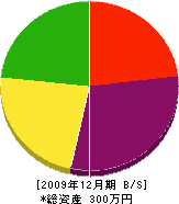 佐藤工務所 貸借対照表 2009年12月期