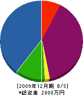 坂田電工 貸借対照表 2009年12月期