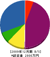 野田造園 貸借対照表 2009年12月期